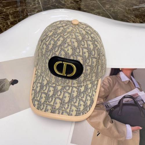 Dior Hats AAA-666