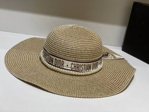 Dior Hats AAA-709