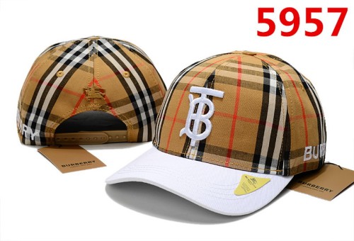 Burberry Hats-081