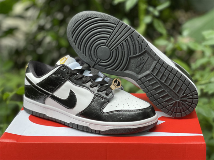 Authentic Nike Dunk Low “World Champ”