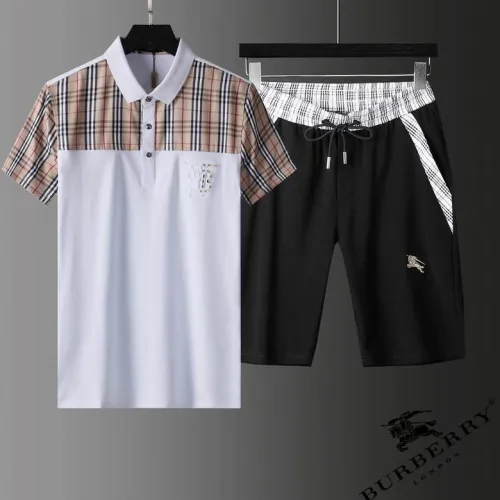 Burberry men suit-499(M-XXXL)