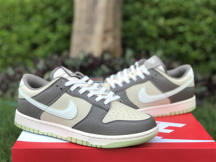 Authentic Nike Dunk Low Sail Olive