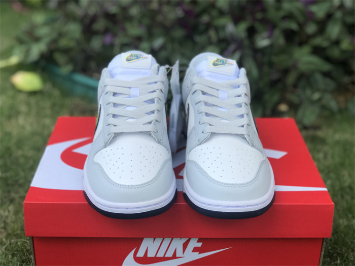 Authentic Nike Dunk Low DV6482-100