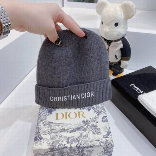 Dior Beanies-113