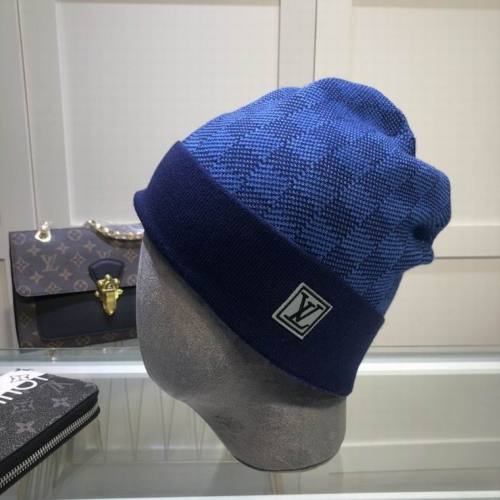 LV beanies AAA-133