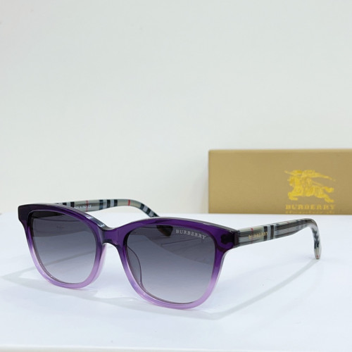 Burberry Sunglasses AAAA-1593