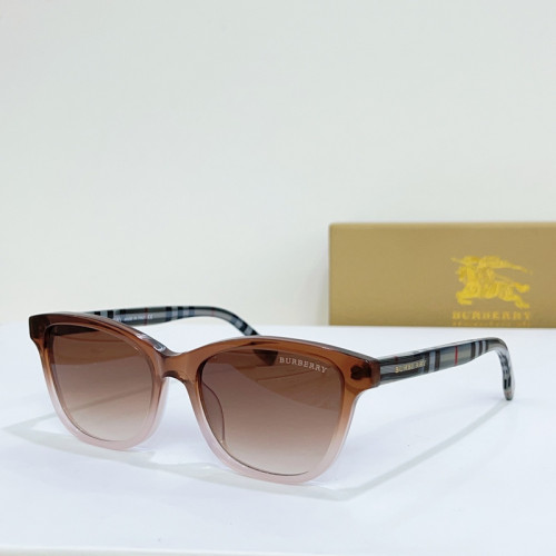Burberry Sunglasses AAAA-1595