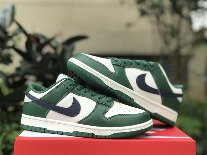 Authentic Nike Dunk Low DD1503-300