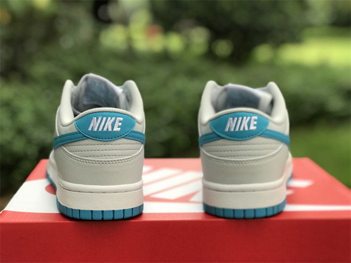 Authentic Nike Dunk Low “Light Blue”
