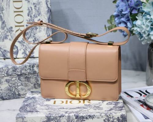 Dior Handbags AAA-110