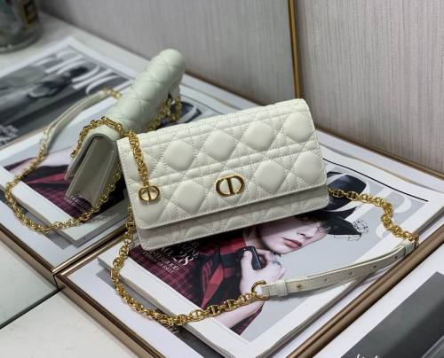 Dior Handbags AAA-137