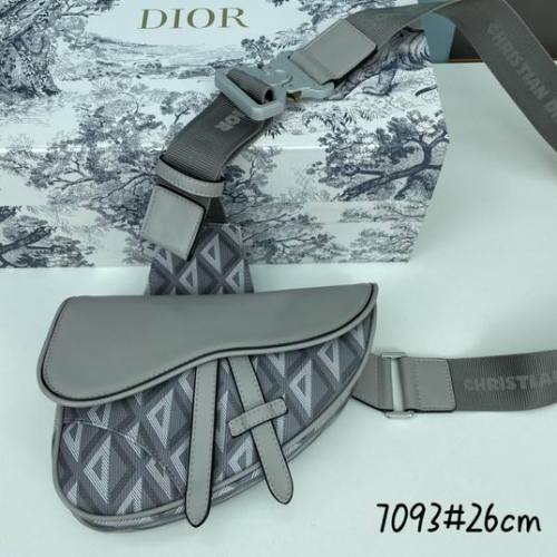 Dior Handbags AAA-033