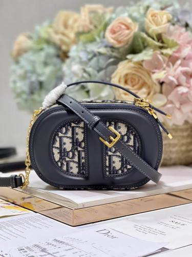 Dior Handbags AAA-106