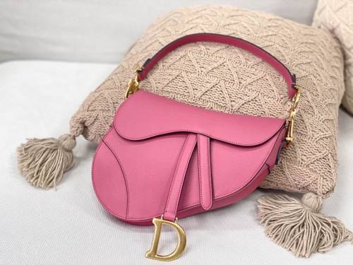 Dior Handbags AAA-149