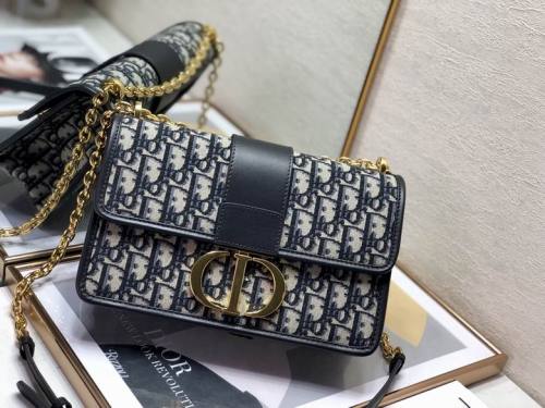 Dior Handbags AAA-016