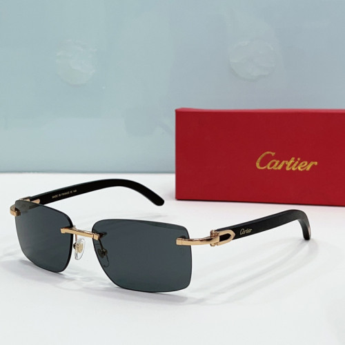 Cartier Sunglasses AAAA-2899