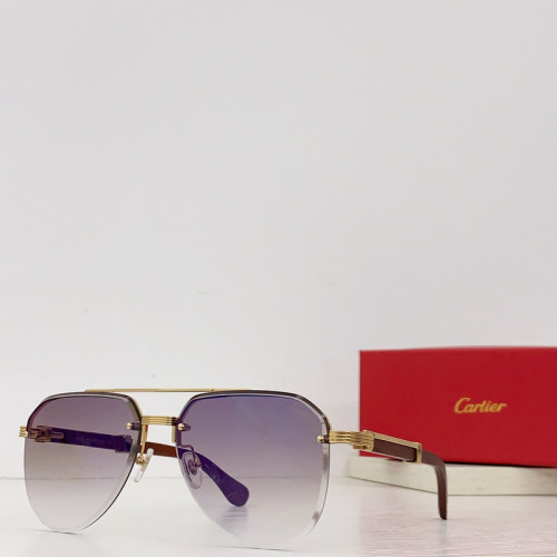 Cartier Sunglasses AAAA-2749