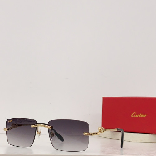 Cartier Sunglasses AAAA-2695