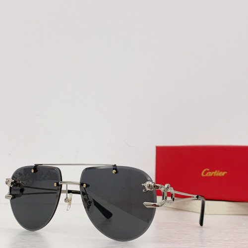 Cartier Sunglasses AAAA-2813