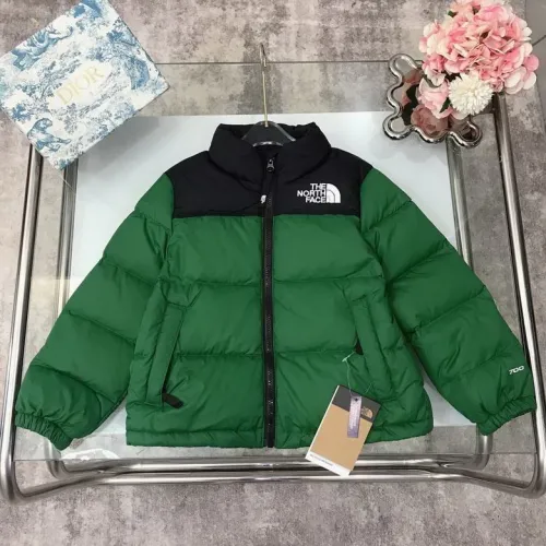 The North Face Down Coat-228