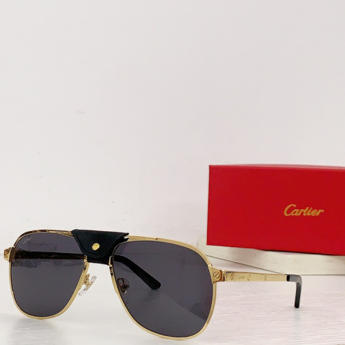Cartier Sunglasses AAAA-3176