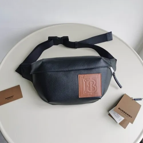Burberry Handbags AAA-060
