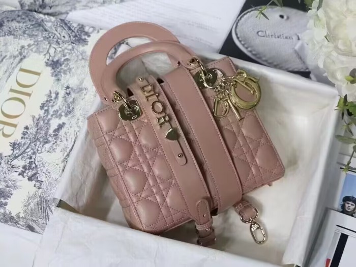 Dior High End Quality Bags-135