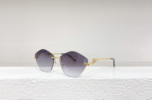 Cartier Sunglasses AAAA-3894