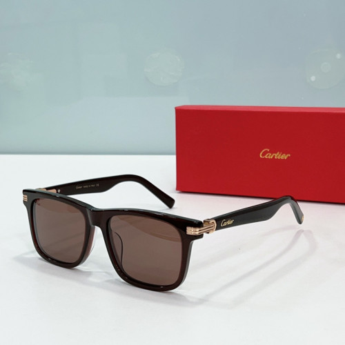 Cartier Sunglasses AAAA-3776