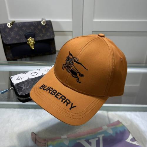 Burrerry Hats AAA-559