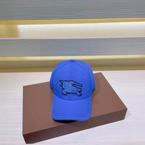 Burrerry Hats AAA-592