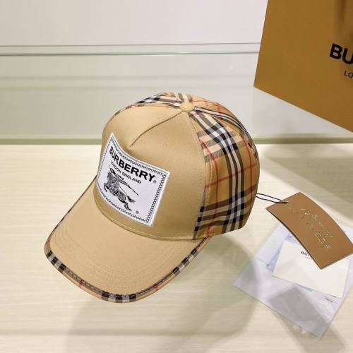 Burrerry Hats AAA-647