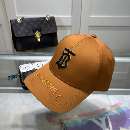 Burrerry Hats AAA-562