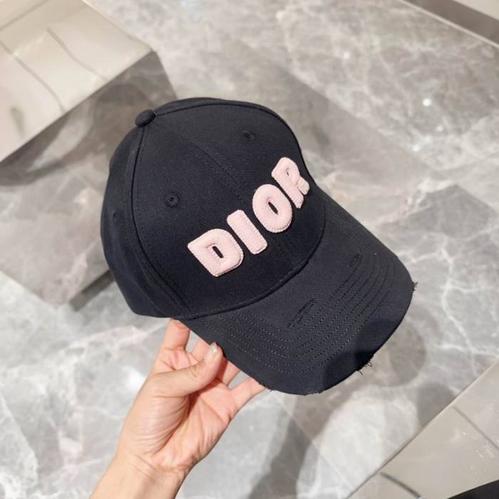 Dior Hats AAA-1069