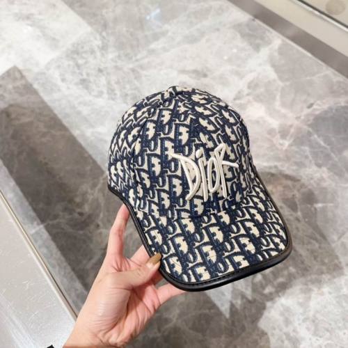 Dior Hats AAA-1008
