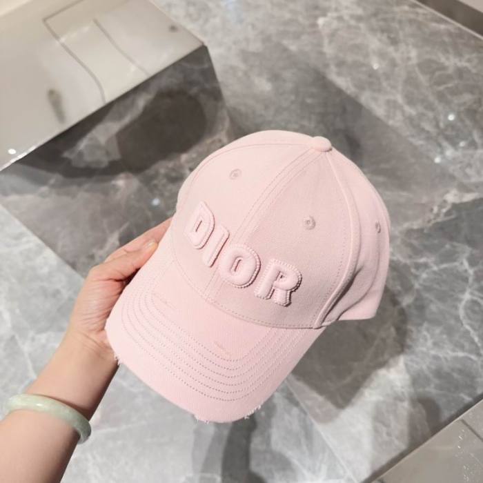 Dior Hats AAA-1072