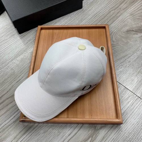 Dior Hats AAA-950