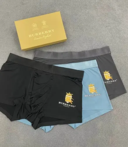 Burberry underwear-173(L-XXXL)