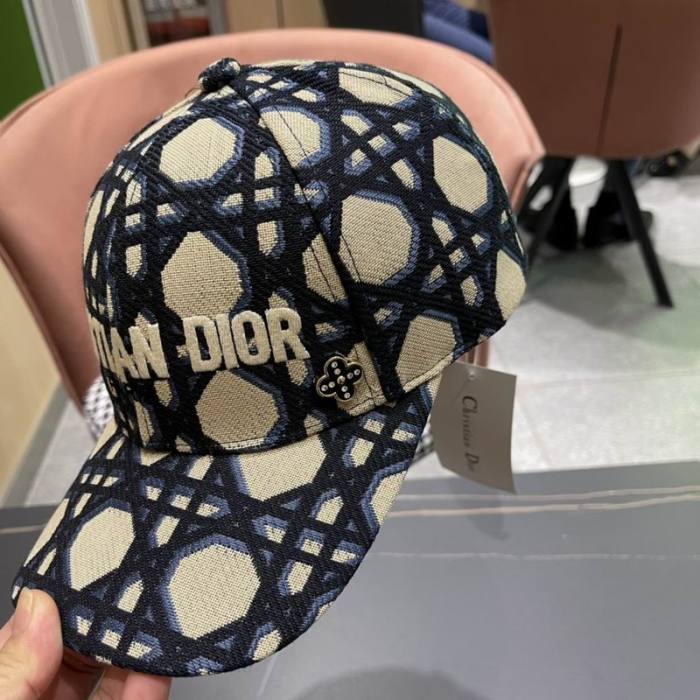 Dior Hats AAA-1239