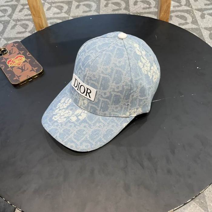 Dior Hats AAA-1213