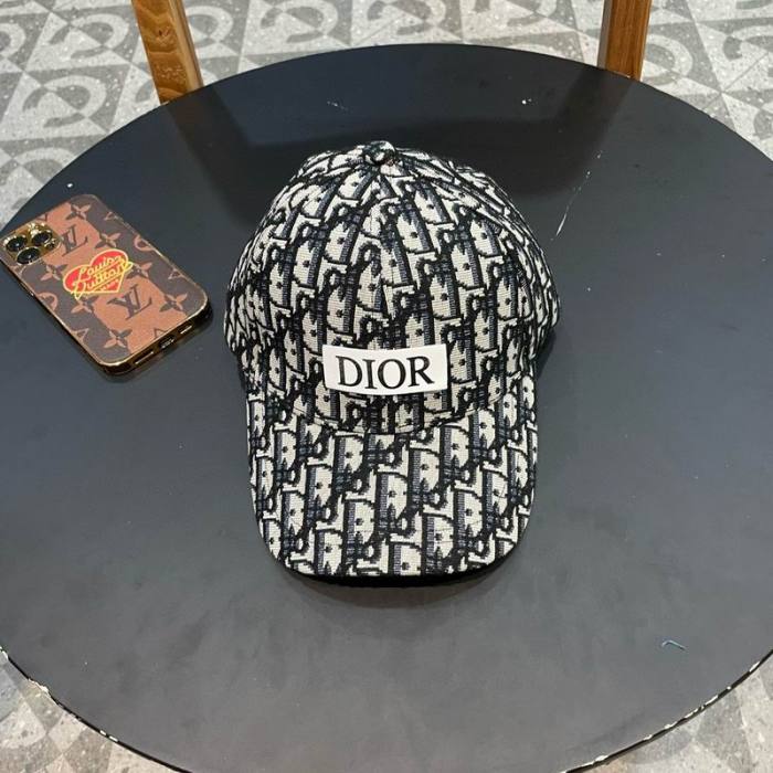 Dior Hats AAA-1256