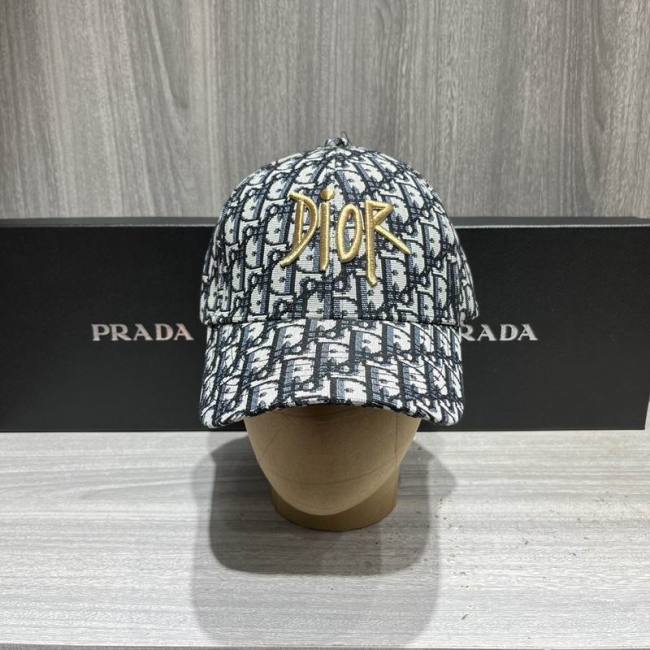 Dior Hats AAA-1163