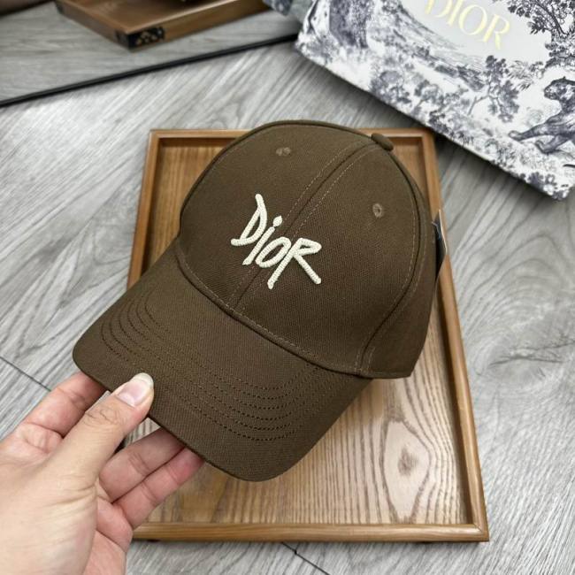 Dior Hats AAA-1135