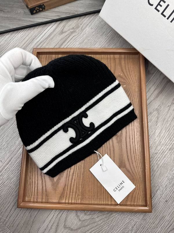 Celine Hats AAA-1189