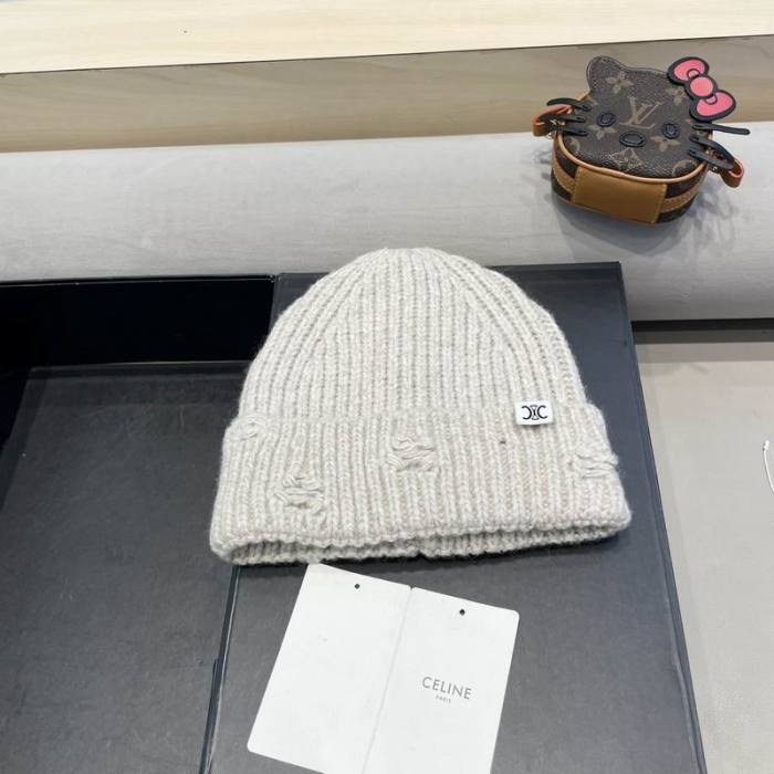 Celine Hats AAA-1338