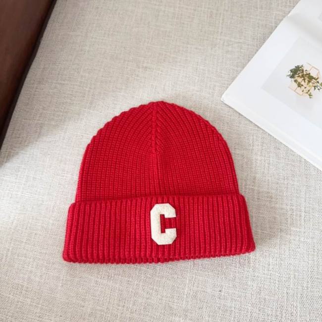 Celine Hats AAA-1042