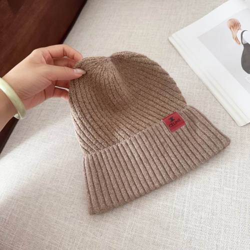 Celine Hats AAA-1024