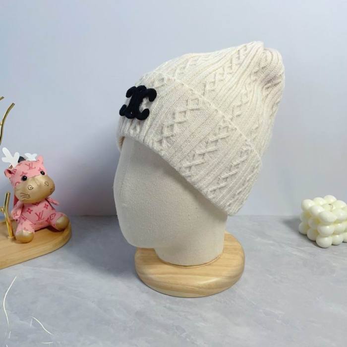 Celine Hats AAA-1261