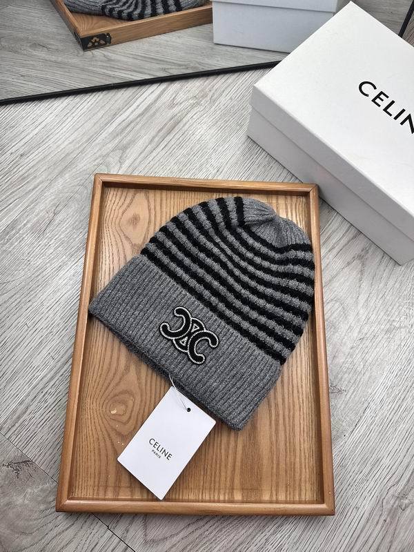 Celine Hats AAA-1196