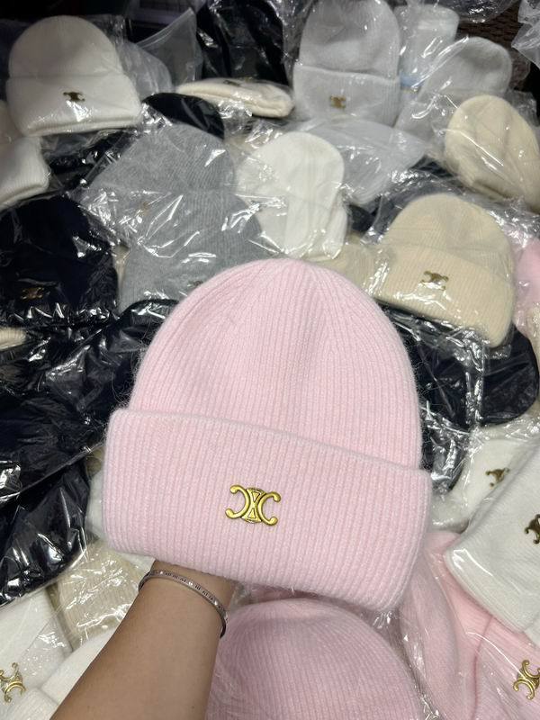 Celine Hats AAA-1152